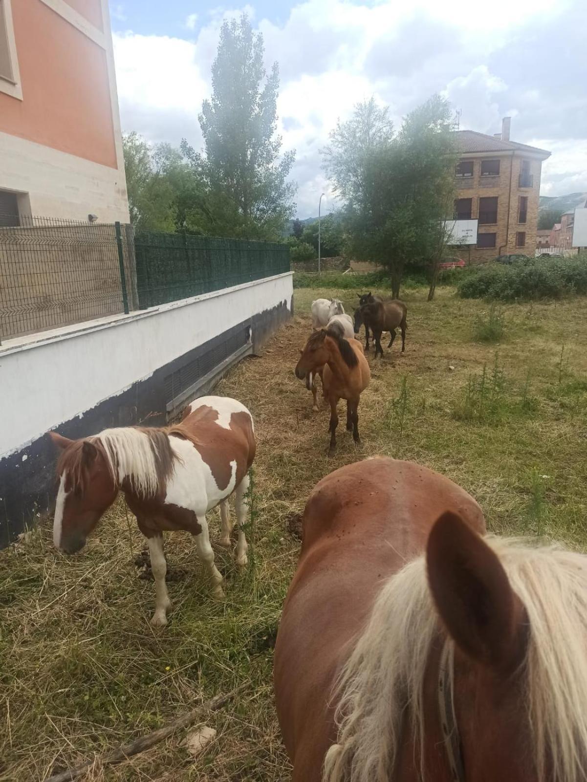 Alojamiento Fiordos Leoneses Bonar Esterno foto